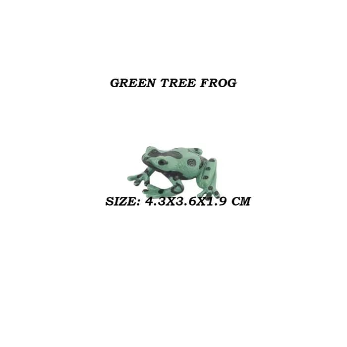 Collection de grenouilles Rana Bullfrog Treefrog Hornedfrog crapaud Squishy grenouille forêt tropica