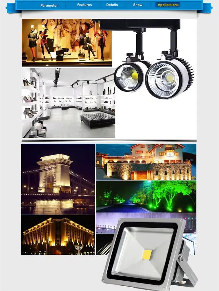 1 pièce 2017 Full Watt 10W 20W 30W 50W 100W Source de lumière LED haute puissance à puce intégrée 9-12V 24-38V Lampe SMD IC Ampoule de projecteur