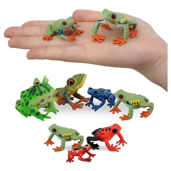 Collection de grenouilles Rana Bullfrog Treefrog Hornedfrog crapaud Squishy grenouille forêt tropicale Figurines d'animaux figurine jouet cadeaux pour enfants