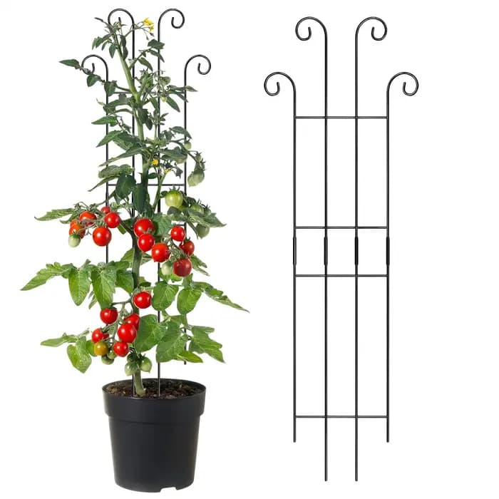 Treillis métallique pour plantes d'intérieur et d'extérieur, support vertical de jardin pour Monstera, tomates, vignes, plantes grimpantes, poteau de croissance