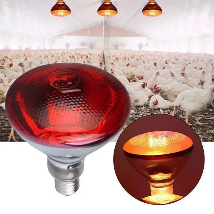 100w 150w 175w 200w 250w 275w lampe chauffante rouge pour animaux de compagnie jour nuit pour lampe serpent amphibien chaleur Reptile ampoule lumière UV