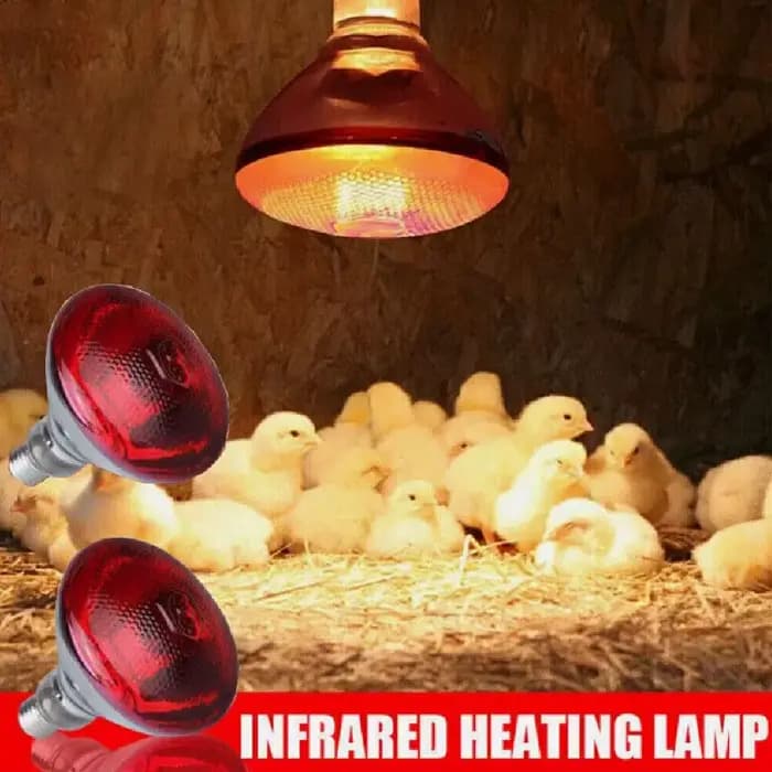 100w 150w 175w 200w 250w 275w lampe chauffante rouge pour animaux de compagnie jour nuit pour lampe serpent amphibien chaleur Reptile ampoule lumière UV