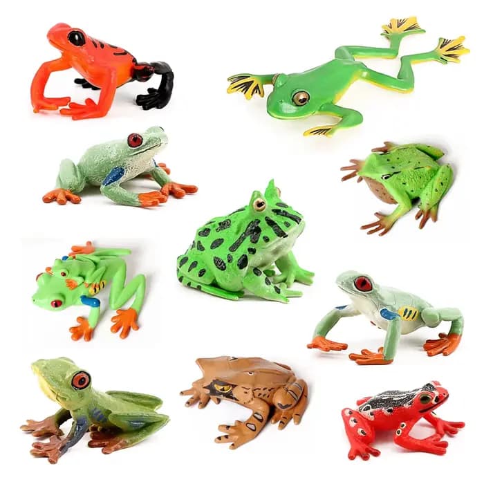 Collection de grenouilles Rana Bullfrog Treefrog Hornedfrog crapaud Squishy grenouille forêt tropicale Figurines d'animaux figurine jouet cadeaux pour enfants