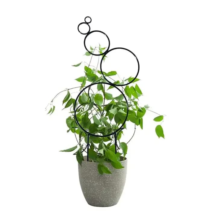 Treillis vigne grimpante rond 14 pouces, cadre Support en fer métallique pour plantes jardin, balcon, treillis et