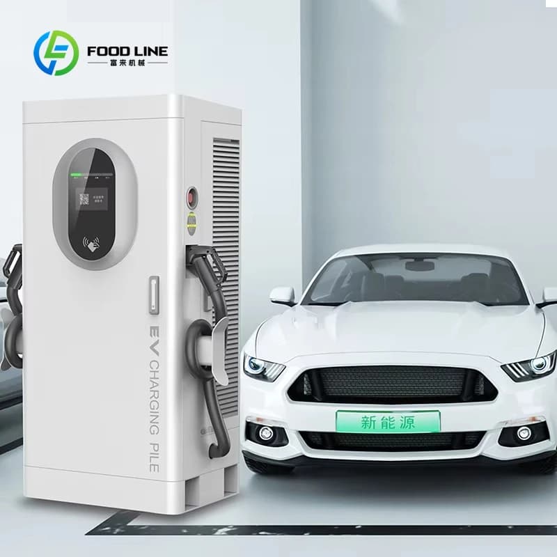 Station de recharge électrique commerciale sur pied à double borne 60KW 120KW 160KW personnalisée po