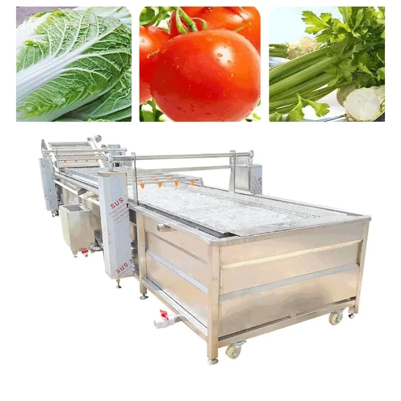 Machine à laver les fruits et légumes à haute efficacité personnalisée avec désinfection à l'ozone p