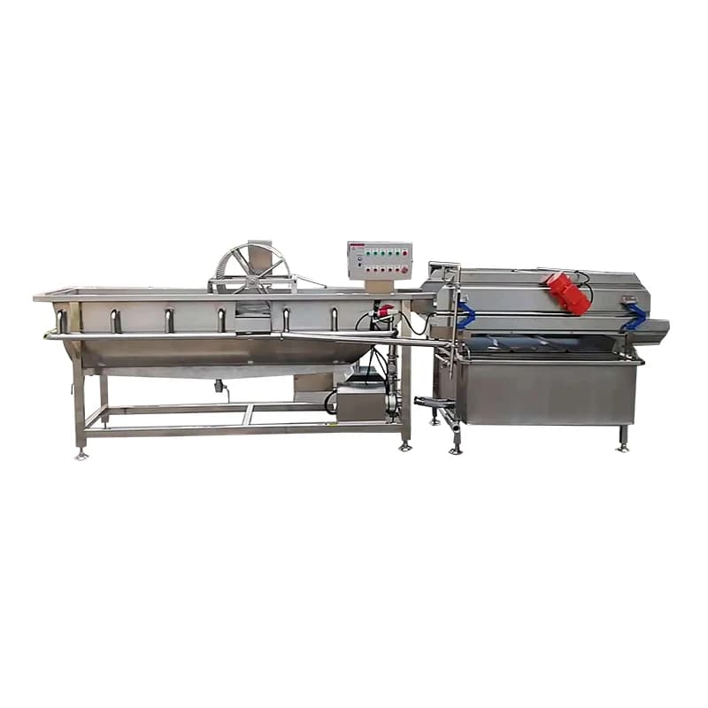 Laveuse de fruits et légumes à vortex, type fraise et orange, automatique 220V PLC, pour cuisine ind