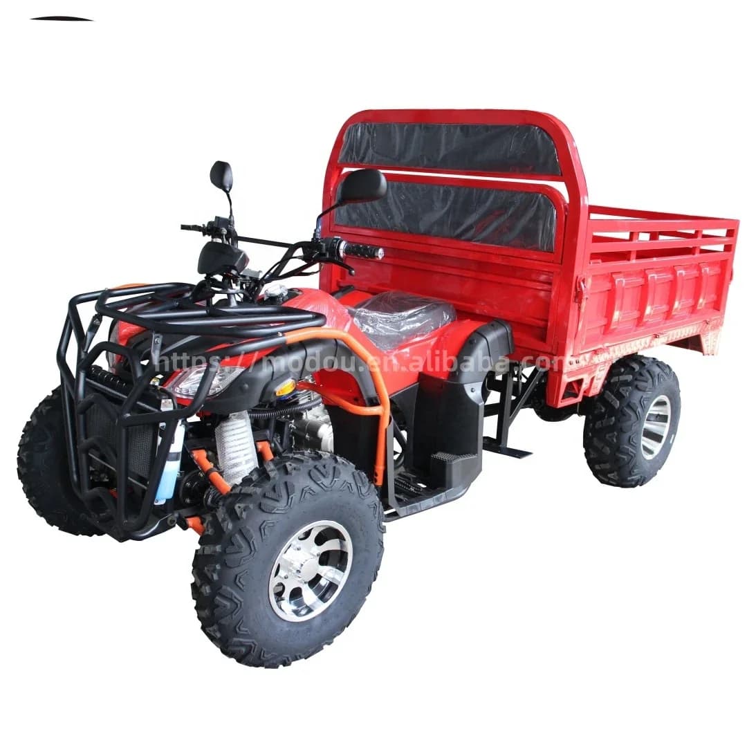 Véhicule agricole 4x4 avec traction intégrale, véhicule agricole, voiture de plage, cargo versitrali
