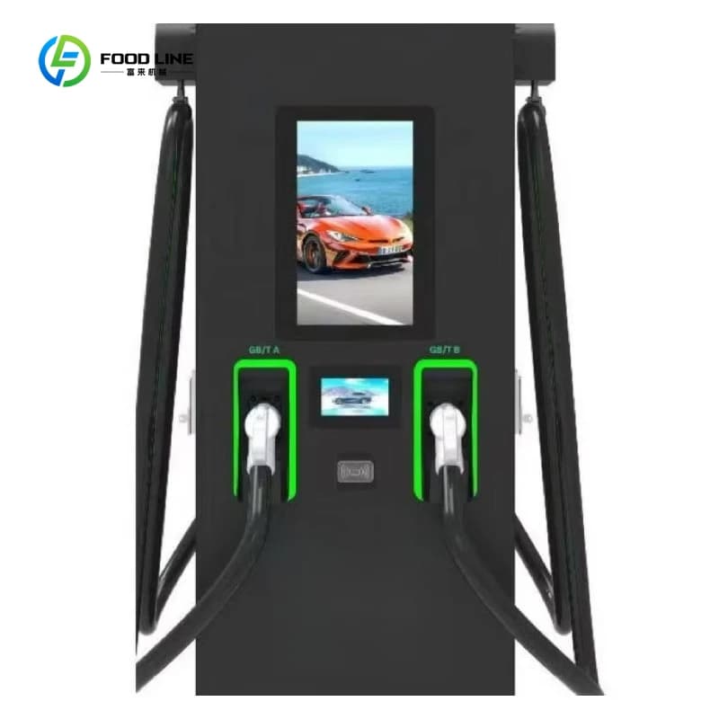 Chargeur rapide DC commercial personnalisé pour véhicules électriques, double borne, interface CCS2 