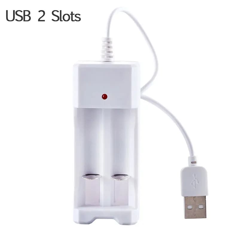 Chargeur de batterie AA/AAA 2 4 emplacements AC 110V 220V pour NI-MH/NI-CD AA AAA charge 1.2V charge
