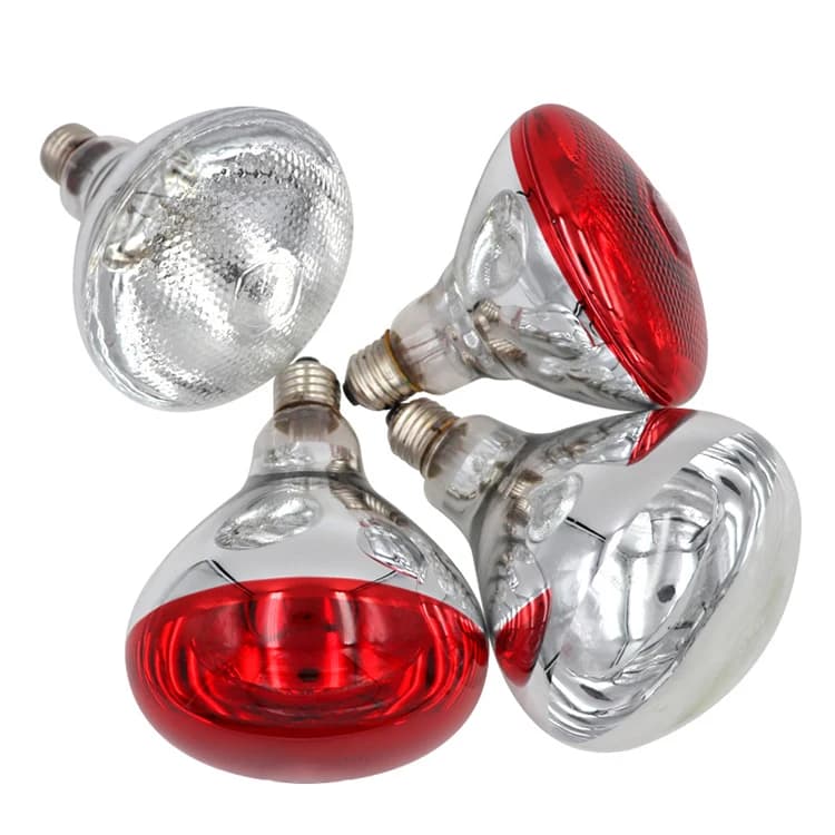 Lampe chauffante infrarouge étanche pour l'élevage : Ampoule chauffante infrarouge pour couveuse, po