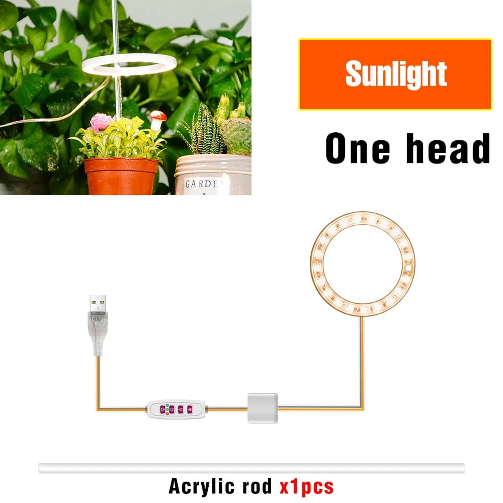 LED Phytolamp intérieur élèvent des lumières spectre complet hydroponique plante lampe pour la cultu