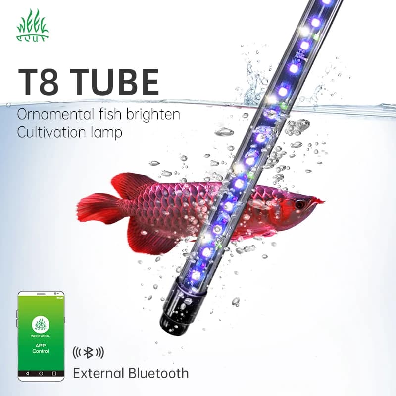 Lampe d'aquarium Série T8 Tube UV Arowana Aquarium d'aquarium Lumière bronzante pour Arowana Tube à 