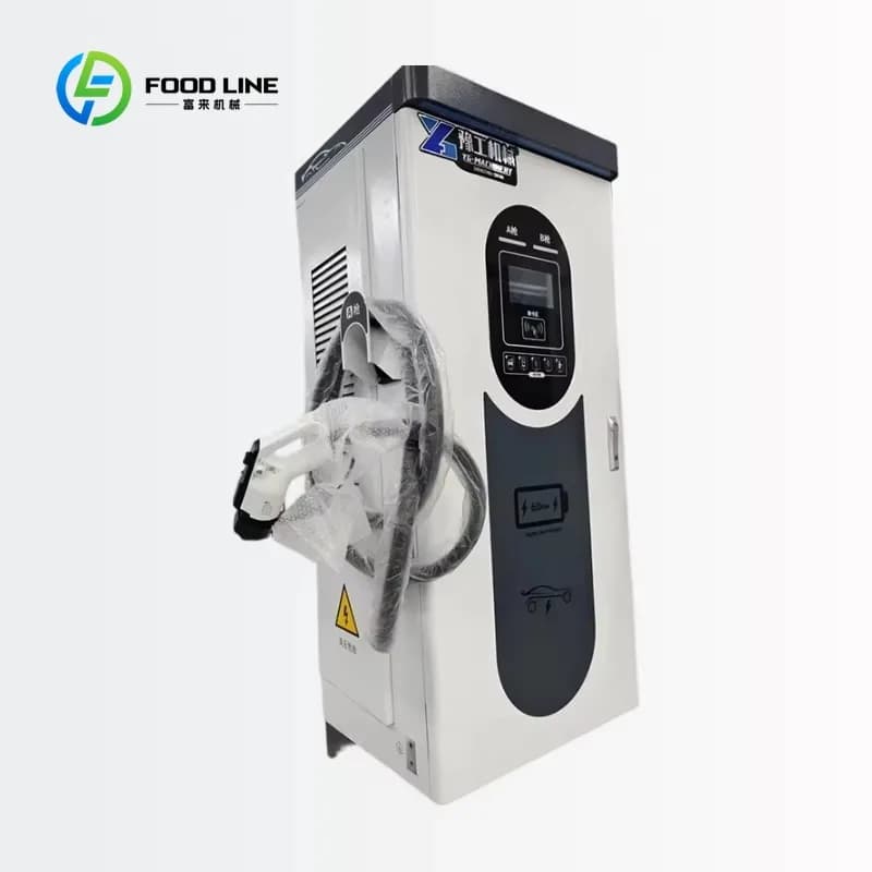 Station de recharge rapide DC pour véhicules électriques personnalisée de 60 kW à double borne, char
