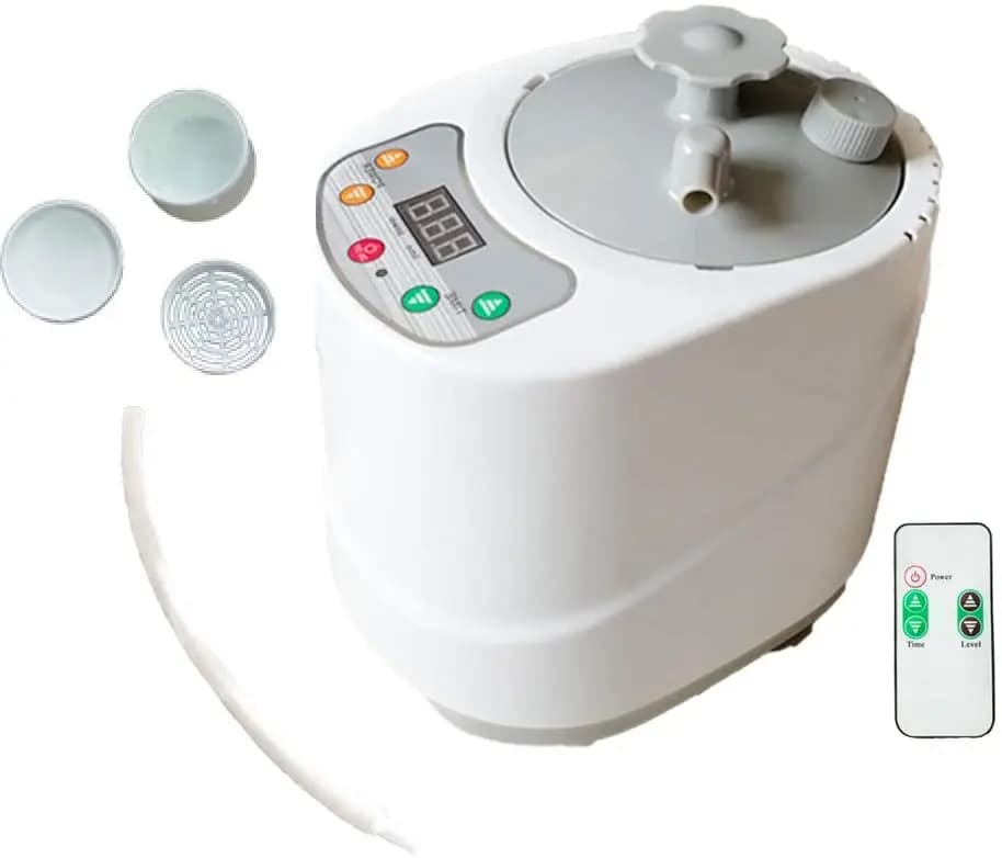 Sauna à vapeur Portable 1,8 l 2l 4l, générateur de vapeur amélioré avec télécommande, Machine de Spa