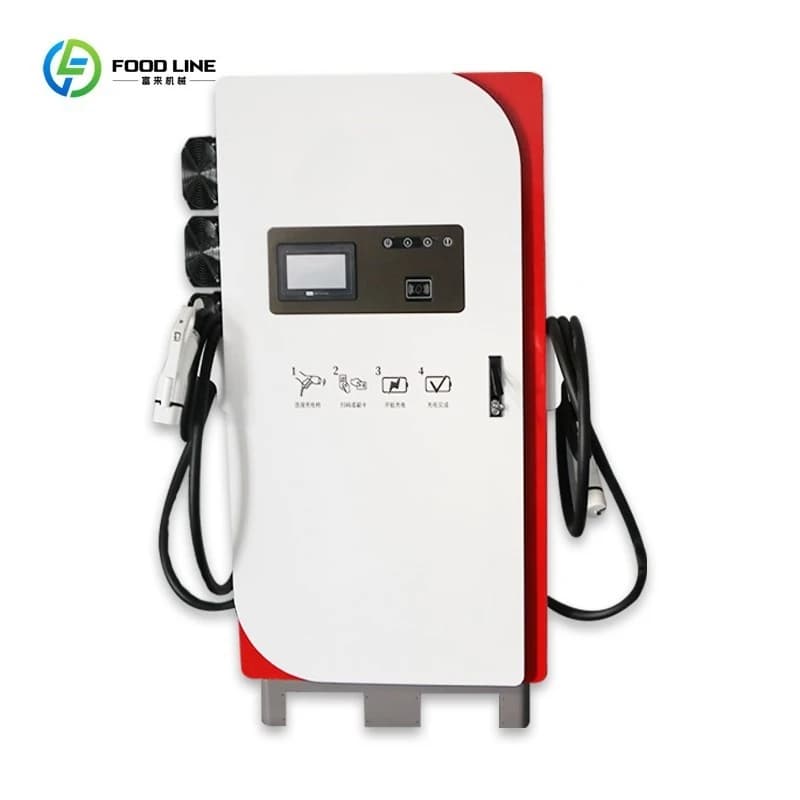 Station de recharge rapide pour véhicules électriques DC personnalisée de 60 kW à 360 kW, borne de r