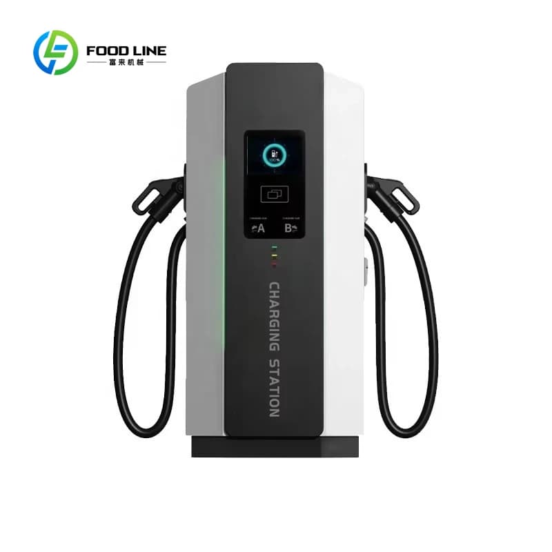Station de recharge rapide DC pour véhicules électriques, personnalisée, 120 kW, 160 kW, double born