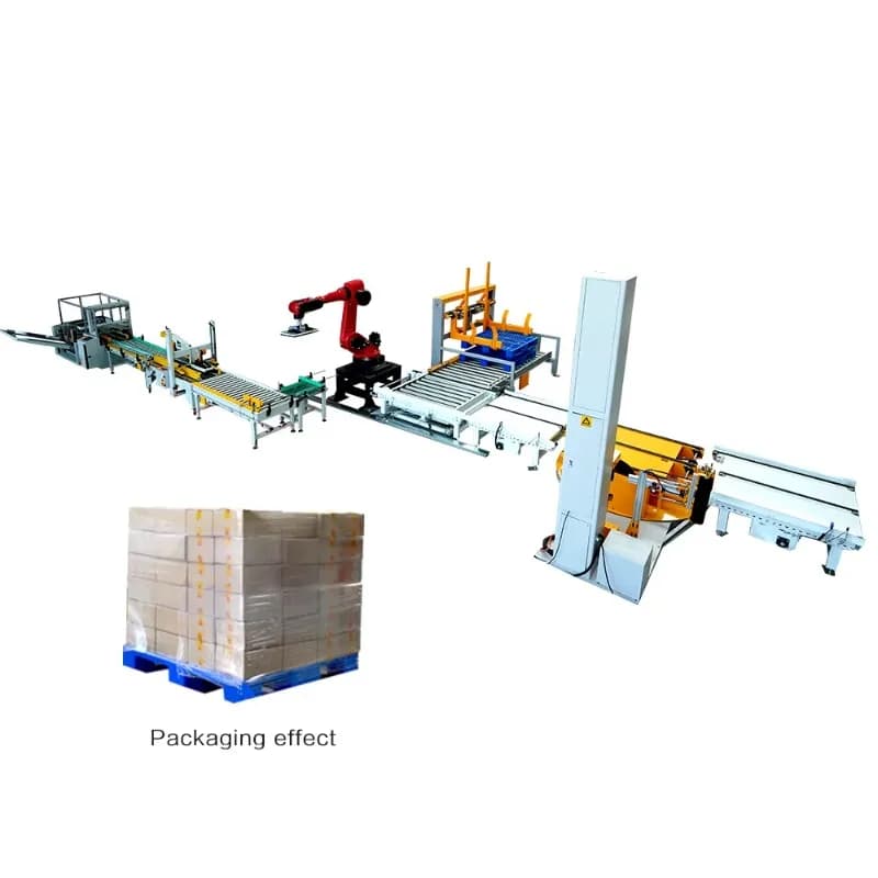 Ligne d'emballage automatisée personnalisée pour le passage du carton au palet : Érection, scellage,