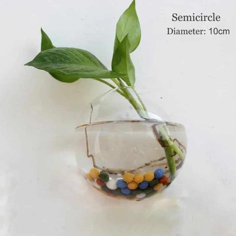 Terrarium en verre suspendu – Jardinière hydro semi-circulaire pour décoration murale, aquarium et a