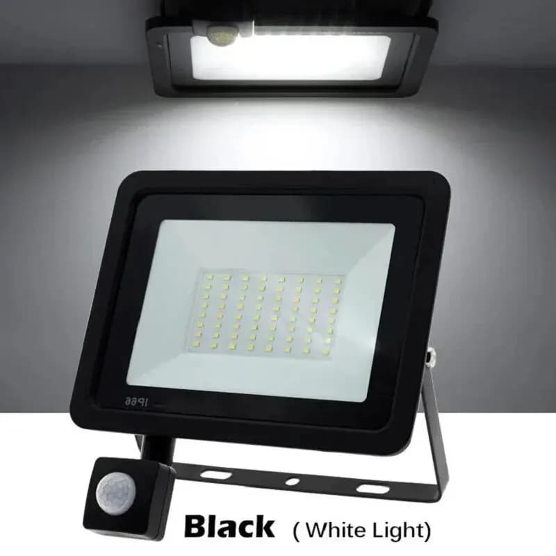 Projecteurs LED avec détecteur de mouvement PIR, 220V, lampe inductive étanche, pour jardin extérieu