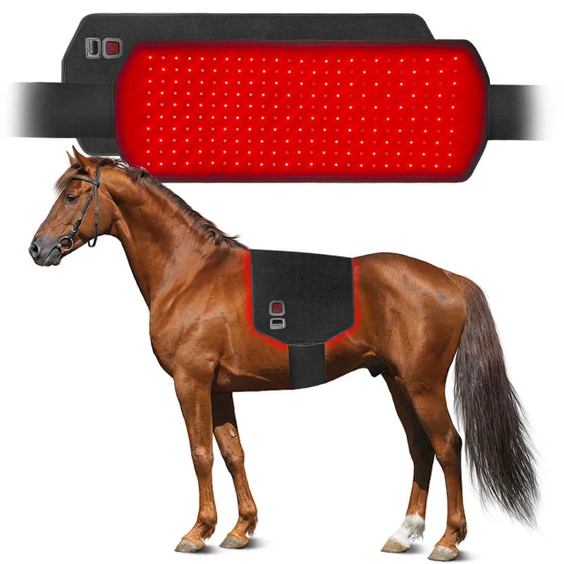Ceinture de thérapie à la lumière rouge LED, lampe de thérapie infrarouge, ceinture chauffante à lum