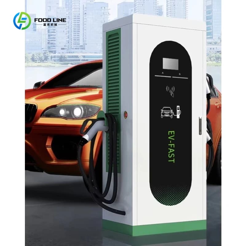 Station de charge rapide DC pour véhicules électriques 60 kW à double borne, chargeur rapide commerc