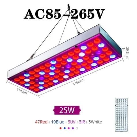 Panneau lumineux LED à spectre complet pour culture de plantes, boîte lumineuse Phytolamp, ampoule p