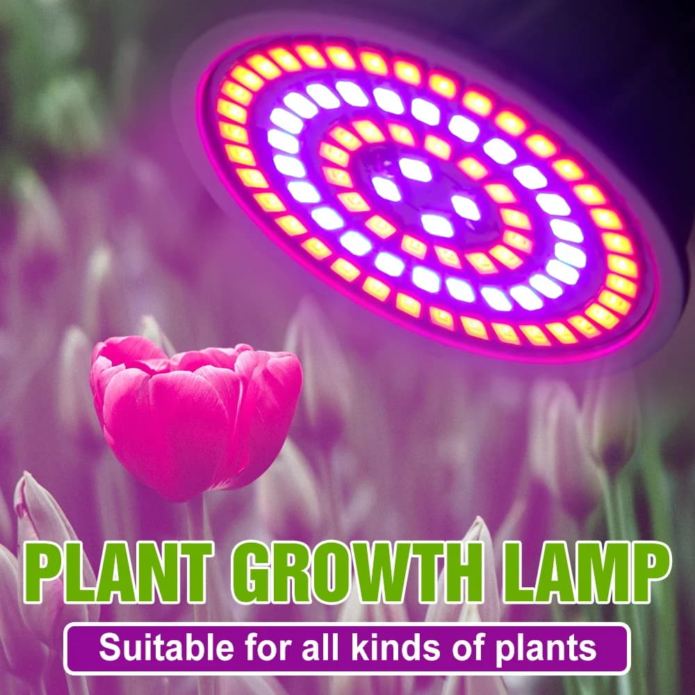 E27/E26 LED élèvent l'ampoule spectre complet GU10 projecteurs MR16 hydroponique fleur légumes cultu