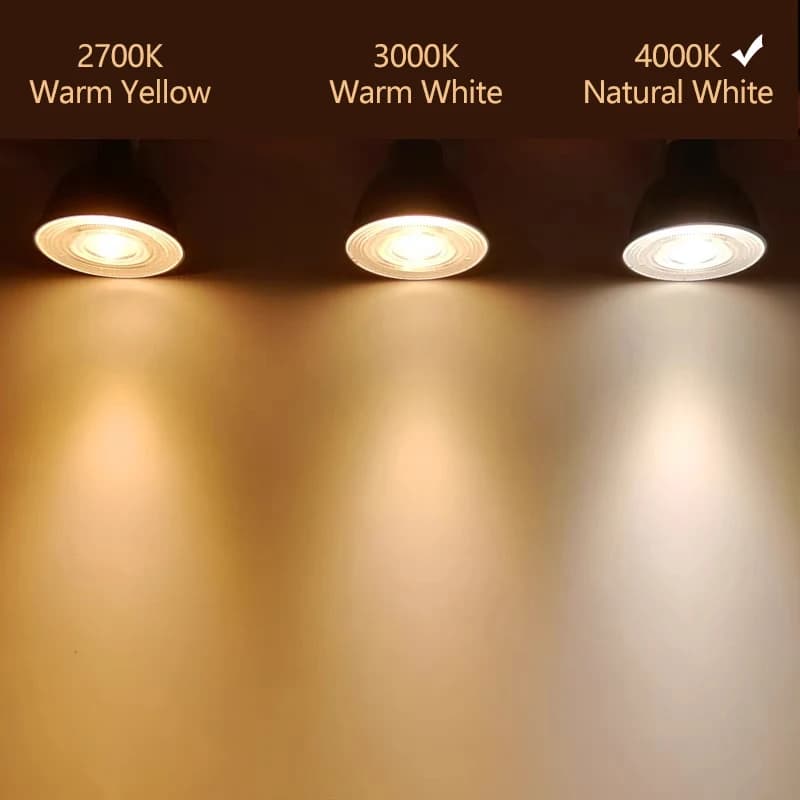 Philips MASTER LED MR16 4,9 W (50 W) Spot 12 V GU5.3 12 V Lampe réflecteur 24 °   36 °   Angle de fa