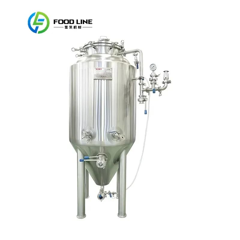 Système de brasserie domestique professionnel 60L, équipement de micro-infusion avec fermenteur pour