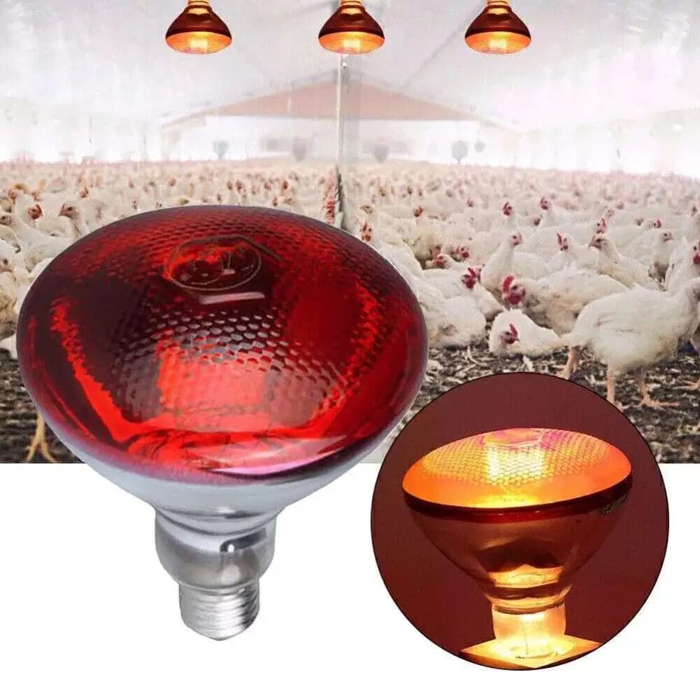 100w 150w 175w 200w 250w 275w lampe chauffante rouge pour animaux de compagnie jour nuit pour lampe serpent amphibien chaleur Reptile ampoule lumière UV