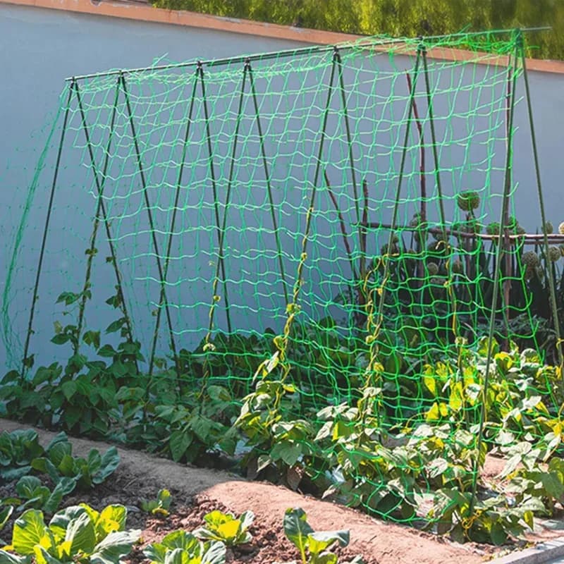 Pergolas de treillis pour plantes, filet de culture en Polyester robuste, filet de treillis de jardin avec maille carrée pour plantes grimpantes, légumes,