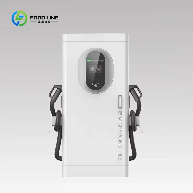 Station de recharge électrique commerciale sur pied à double borne 60KW 120KW 160KW personnalisée pour véhicules électriques