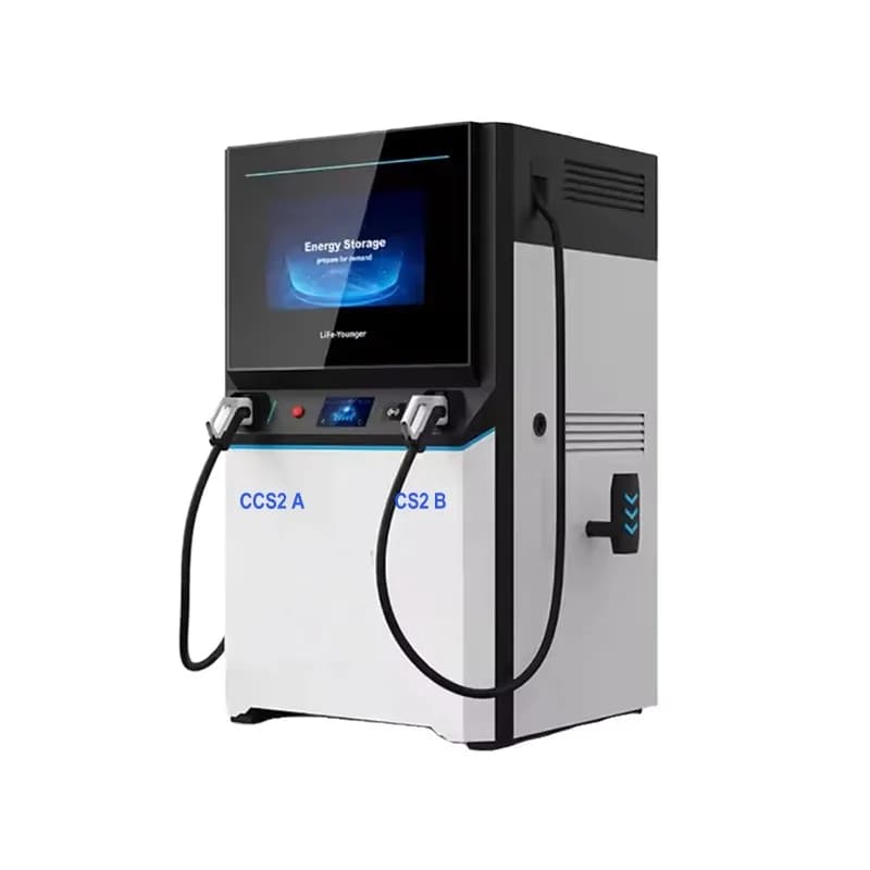 Chargeur de véhicules électriques DC solaire personnalisé 100-180 kW avec station de stockage d'énergie 60-100 kWh IP54 CCS/GBT