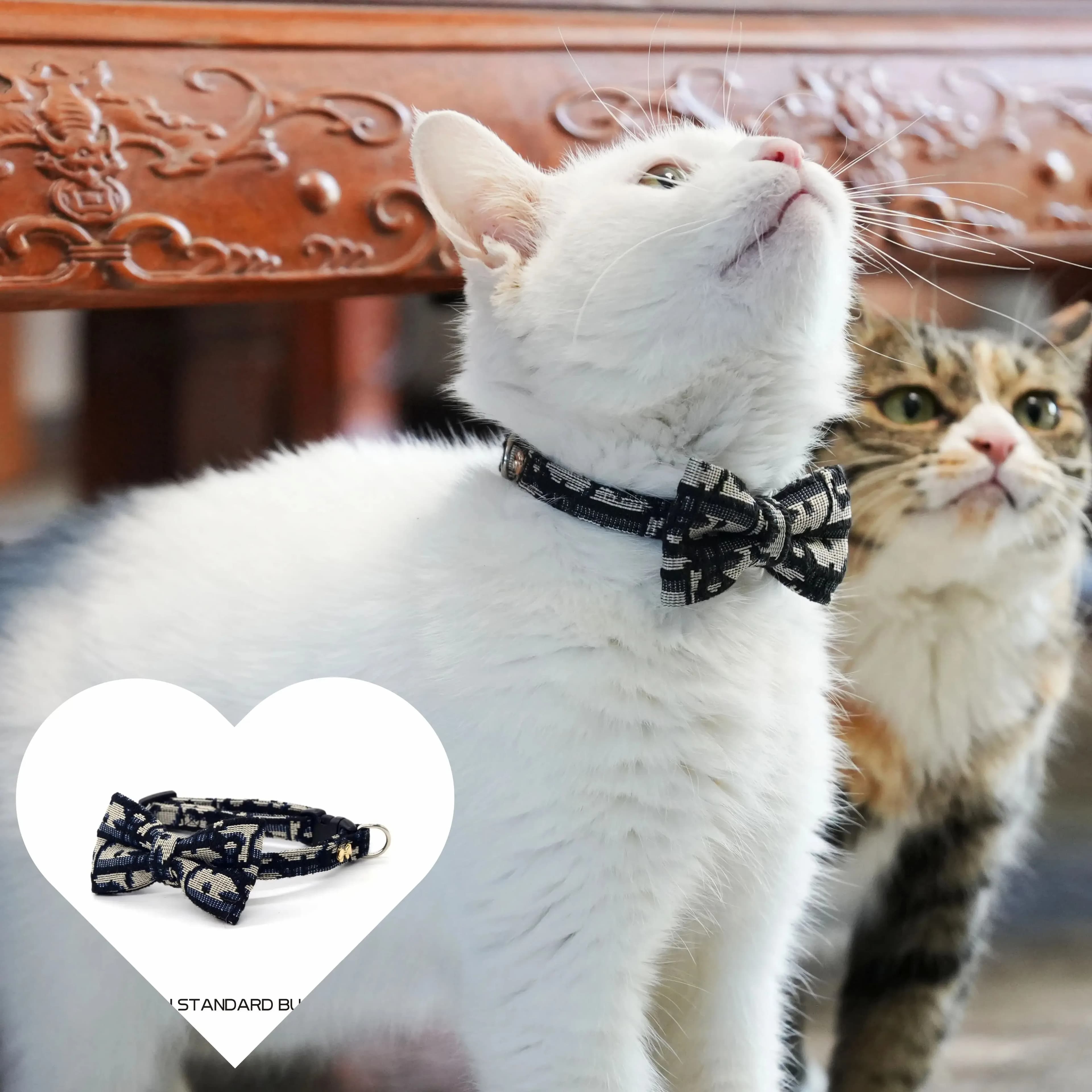 Accessoires pour animaux de compagnie, articles pour chats, série de colliers détachables, accessoires pour chiens, Guides, fournitures, laisse pour chatons et animaux de compagnie