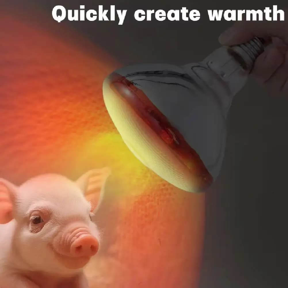 100w 150w 175w 200w 250w 275w lampe chauffante rouge pour animaux de compagnie jour nuit pour lampe serpent amphibien chaleur Reptile ampoule lumière UV