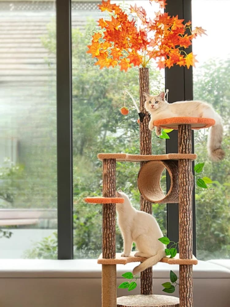 Grand Cadre d'Escalade pour Chat, Maison dans l'Arbre, Accessoires à Gratter, en Sisal et Rotin Tissé, Jouets pour Animaux de Compagnie
