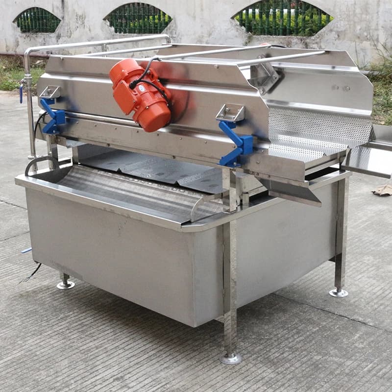 Laveuse de fruits et légumes à vortex, type fraise et orange, automatique 220V PLC, pour cuisine industrielle, haute efficacité, personnalisable