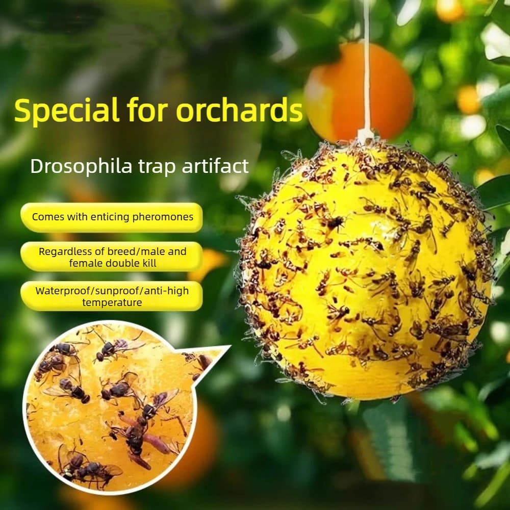 Balles attrape-insectes avec piège à couche collante pour mouches à fruits, guêpes et abeilles – Accessoire de lutte physique contre les parasites pour la protection des plantes