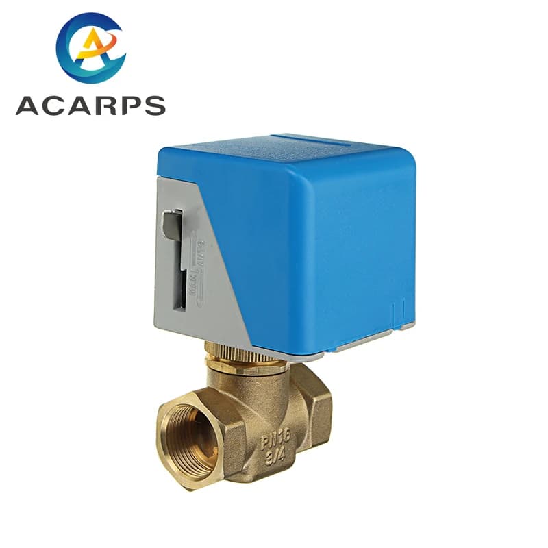 Vannes à globe électriques en laiton, 1/2 ", 3/4", 1 ", 2 fils, AC 220V, arrêt bidirectionnel, vanne