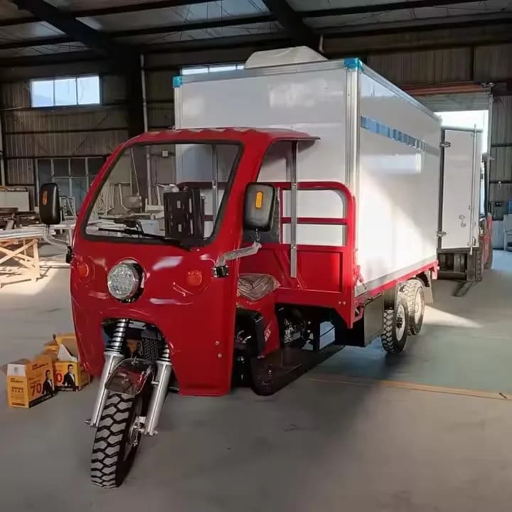 Tricycle de moto avec stockage de pièce fraîche Tricycle motorisé à essence avec Coldroom
