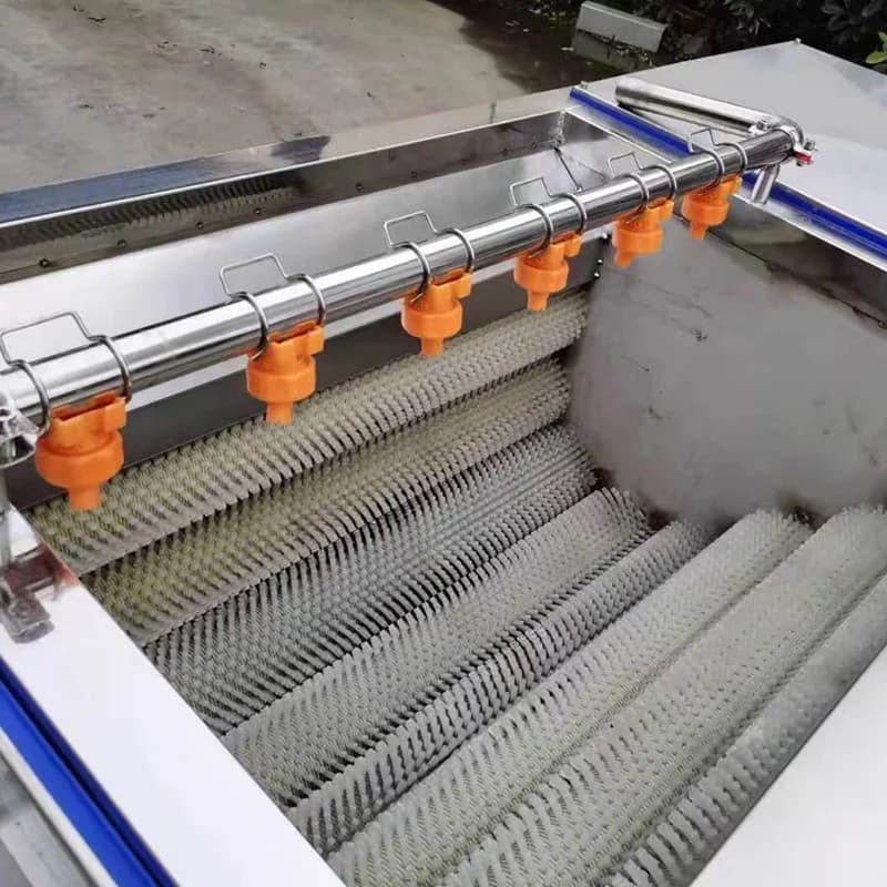 Machine à laver le chou, machine à laver les légumes, machine à laver les fruits et les légumes