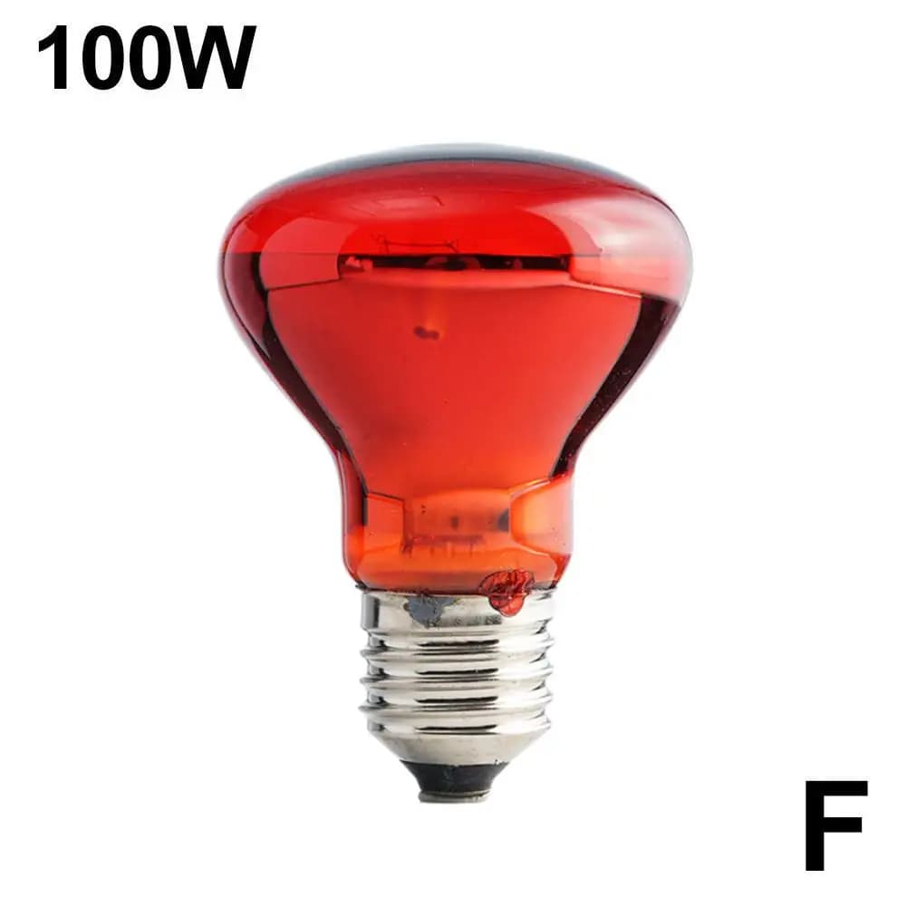 Ampoule chauffante à infrarouge pour volaille, 25W-100W, pour reptiles, plantes, amphibiens, animaux