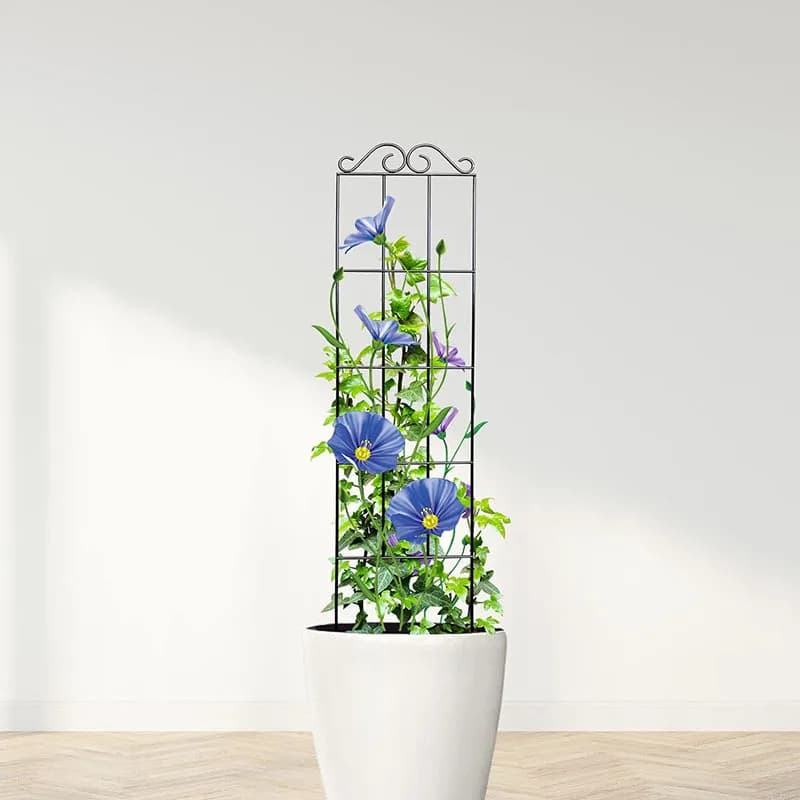 Cadre d'escalade en métal pour plantes grimpantes, treillis d'intérieur de jardin, fer, plantes en pot, croissance de la vigne, fleur, rotin, T1